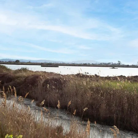 Apartment Les Vignes Vierges By Interhome